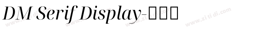 DM Serif Display字体转换